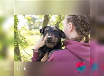Tinka – gute Laune auf vier Pfoten!