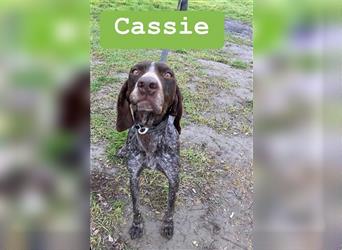 Cassie sucht ihr Zuhause