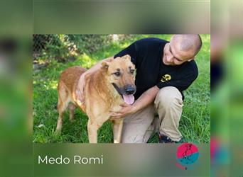 Medo Romi - Probiers mal mit Gemütlichkeit!