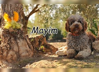Schauen Sie gemeinsam mit Mayim in die Zukunft?