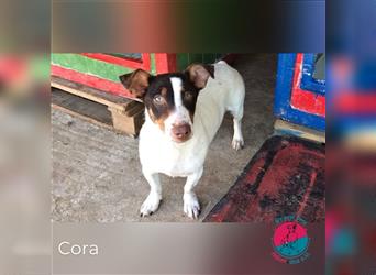 Cora – Liebe geht durch den Magen