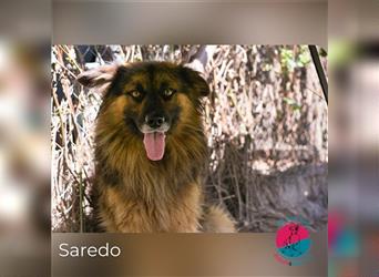 Saredo bringt Glück in dein Zuhause!