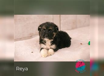 Reya – kleine Entdeckerin mit viel Potenzial