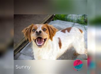 Sunny – Für mehr Sonne in deinem Leben