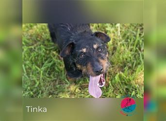 Tinka – gute Laune auf vier Pfoten!