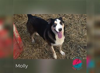 Molly – Bereit dich glücklich zu machen