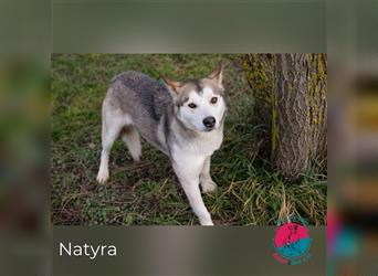 Natyra – Die “Natur” auf vier Pfoten
