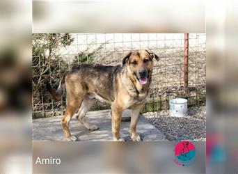 Amiro - Von einem Leben im Käfig in ein richtiges Zuhause