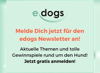 Alle Tipps rund um den Hund nur im edogs Newsletter