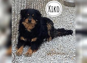 Kiko ein braver