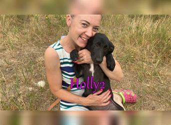 Holly2 04/21 (RUS Pflegestelle) - lebensfrohe und liebevolle Begleithündin!