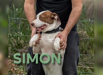 Simon, ein ganz lieber Junge!