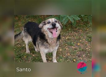 Santo – Von Schüchternheit zur Verspieltheit