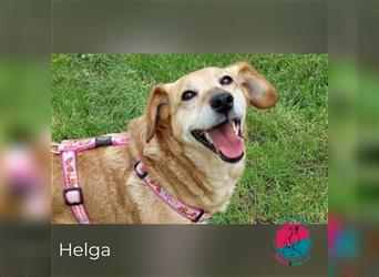 Helga – Auf der Suche nach Geborgenheit