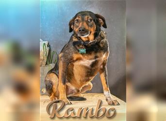 Rambo, eine Schmusebacke!