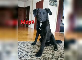 ❤️ Maya