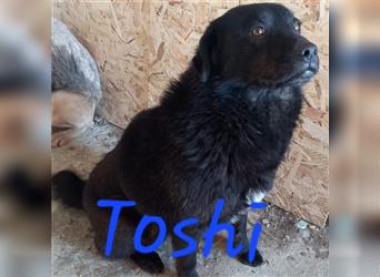 Unser lieber Toshi