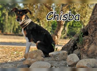 Darf Chisba gemeinsam mit Ihnen ihr Leben auf der Überholspur erleben?