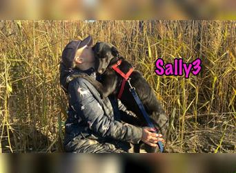 Sally3 04/2021 (RUS) - fröhliche, anhängliche und verspielte, junge Hündin!