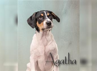 Agatha, ein liebenswertes Mädel!