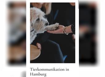 Hundekommunikation, Tierkommunikation und Seelengespräche