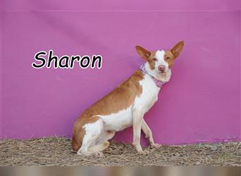 Hat Sharon nun das große Los für ihr Glück gezogen?