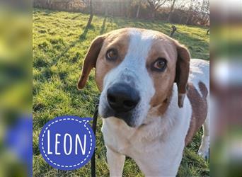 Leon ein braver loyaler Freund fürs Leben