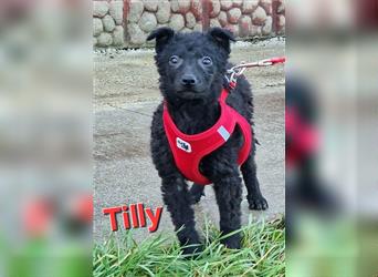 ❤️ Tilly