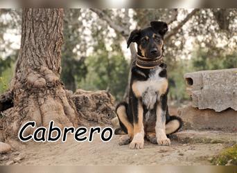 Starten Sie gemeinsam mit Cabrero in ein tolles und spannendes Leben?