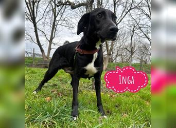 Inga eine wundervolle Seele
