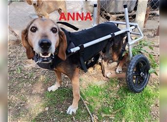 Handicap: Anna - Schmusebacke mit Lebenswillen und Lebensfreude