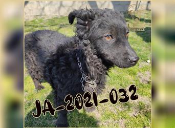 JA-2021-032 sehnt sich nach Familie