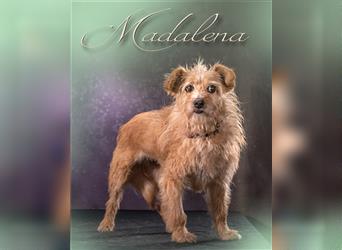 Madalena, ein drolliges Hundemädchen!
