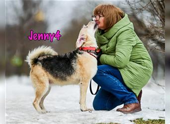 Jenny4 01/18 (RUS Pflegestelle) - bezaubernde und super liebe, kleine Wuschelhündin!