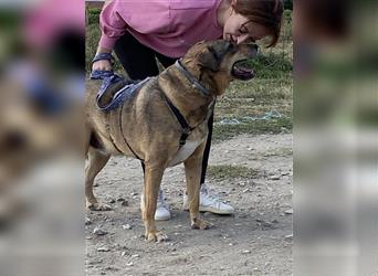 Liebevoller Carlos sucht dringend ein Zuhause