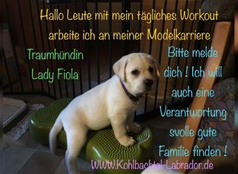 **FirstClass-SHOW-LABY*LADY Fiola*1.5.24+PAPIERE(FCI-PAPA)+Abgabe27.6.-15.7