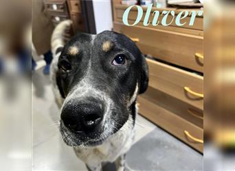 Oliver - sanfter Riese mit großem Herz