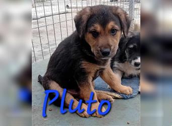 Unser schöner Pluto