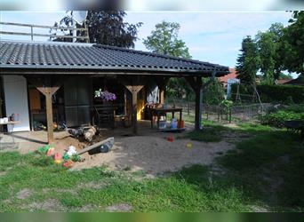 Ein Fest der Farben - Bolonka Zwetna Welpen - lustige Gesellen im Landhaus mit Garten am See