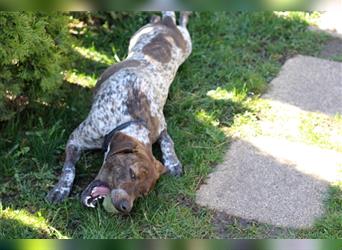 Stella  sucht noch ihren Traumplatz