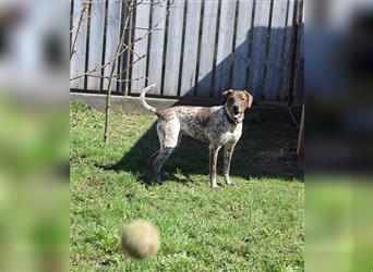 Stella  sucht noch ihren Traumplatz