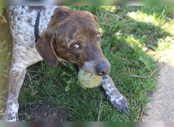 Stella  sucht noch ihren Traumplatz