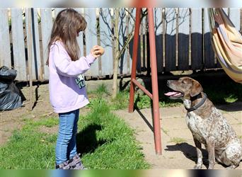 Stella  sucht noch ihren Traumplatz