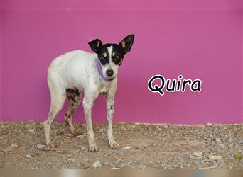 Wechseln Sie gemeinsam mit Quira auf die Überholspur?
