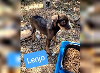 Lenjo – kleiner Mann, ganz und gar großartig!