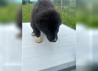 Die liebenswerte PEANUT sucht ihr Zuhause!