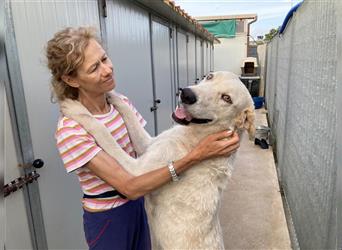 Bianco: Traumhund ohne wenn und aber...