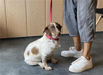 Daisy, hatte Glück im Unglück