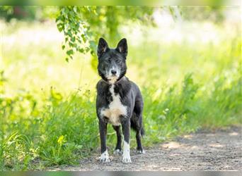 Kleiner Superstar Felix sucht sein Zuhause