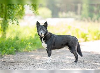 Kleiner Superstar Felix sucht sein Zuhause